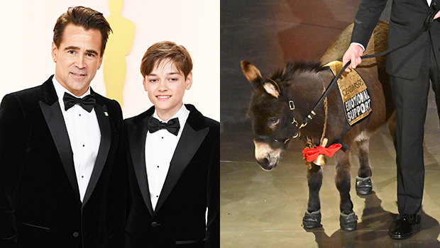 Colin Farrell Son Donkey Oscars SS ftr