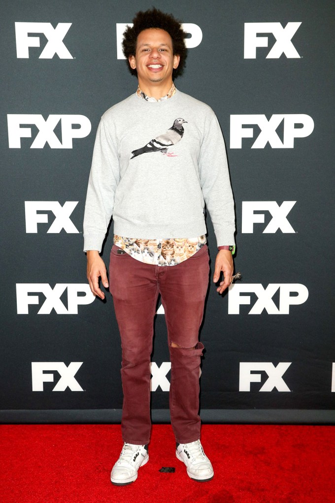 Eric Andre At The FX Winter TCA in 2016.