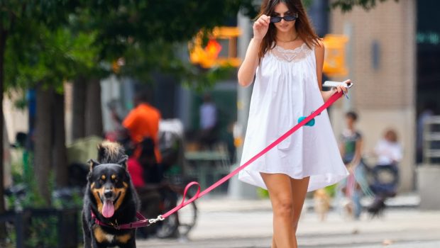 Emily Ratajkowski walks her dog in New York