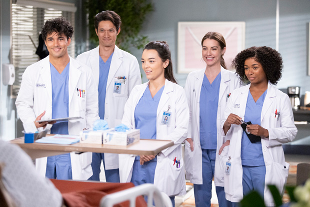 Grey's Anatomy Season 20 Gets Exciting Release Update (Report)