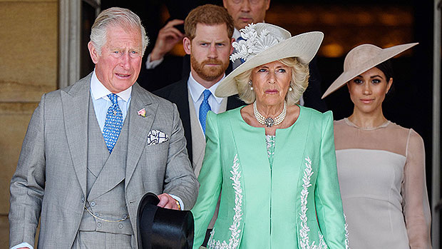 King Charles, Queen Consort, Prince Harry, Meghan Markle