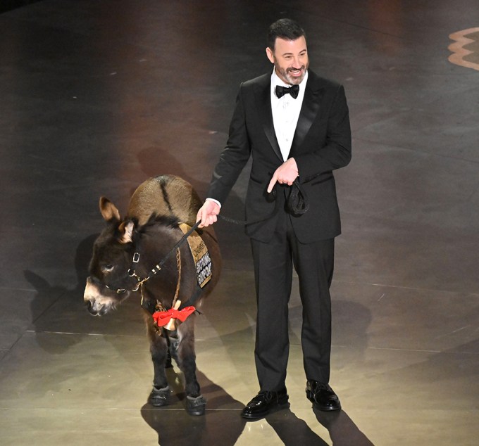 Jimmy Kimmel & Jenny The Donkey