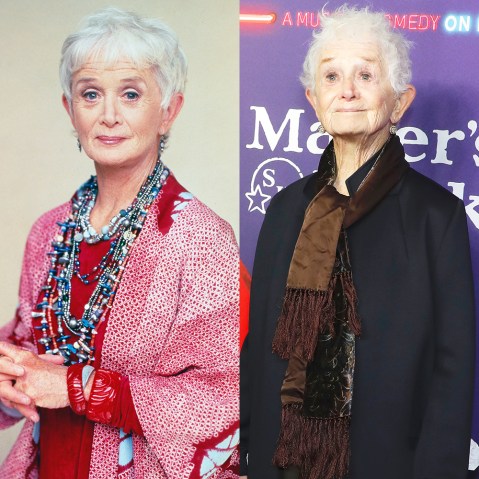 ‘Suddenly Susan’ Cast Then & Now: Photos Of Brooke Shields & More