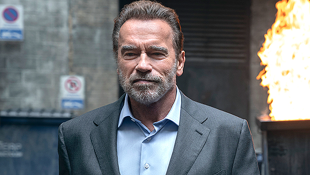 FUBAR Arnold Schwarzenegger netflix ftr