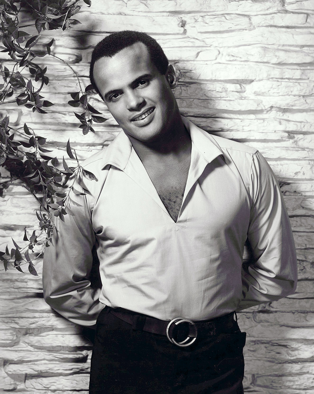 Harry Belafonte - 1954