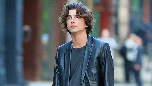 Timothee Chalamet Rocks Head To Toe Leather Suit In NYC Amid Kylie ...