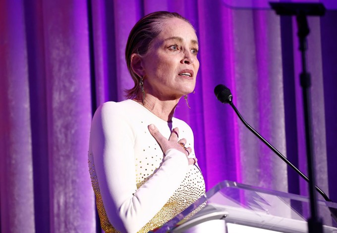 Sharon Stone at the Women Making History Awards