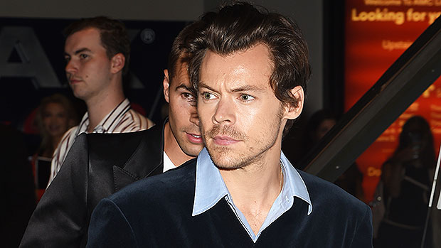 Harry Styles With Ex Kiko In Tokyo: Video – Hollywood Life