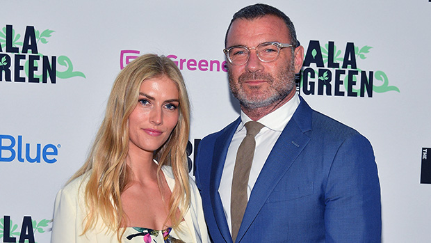 liev schreiber and taylor neisen baby