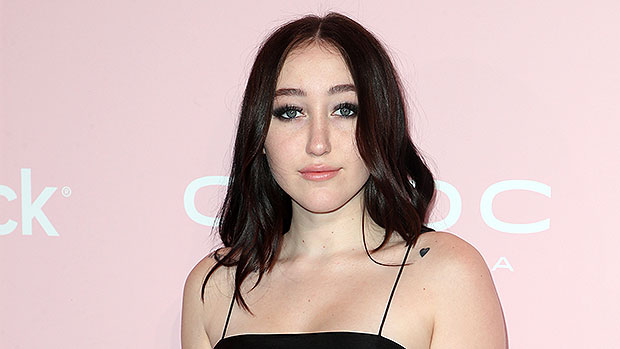 Read more about the article Noah Cyrus With Boyfriend Pinkus In First Photos – Hollywood Life