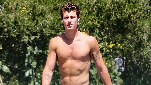 Shawn Mendes Goes For Shirtless Walk Amid Rekindled Romance With