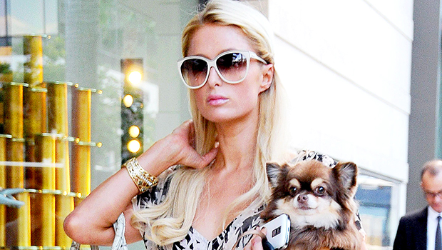 paris hilton