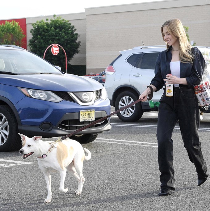 Sydney Sweeney Shopping For Bai While Out With Her Dog