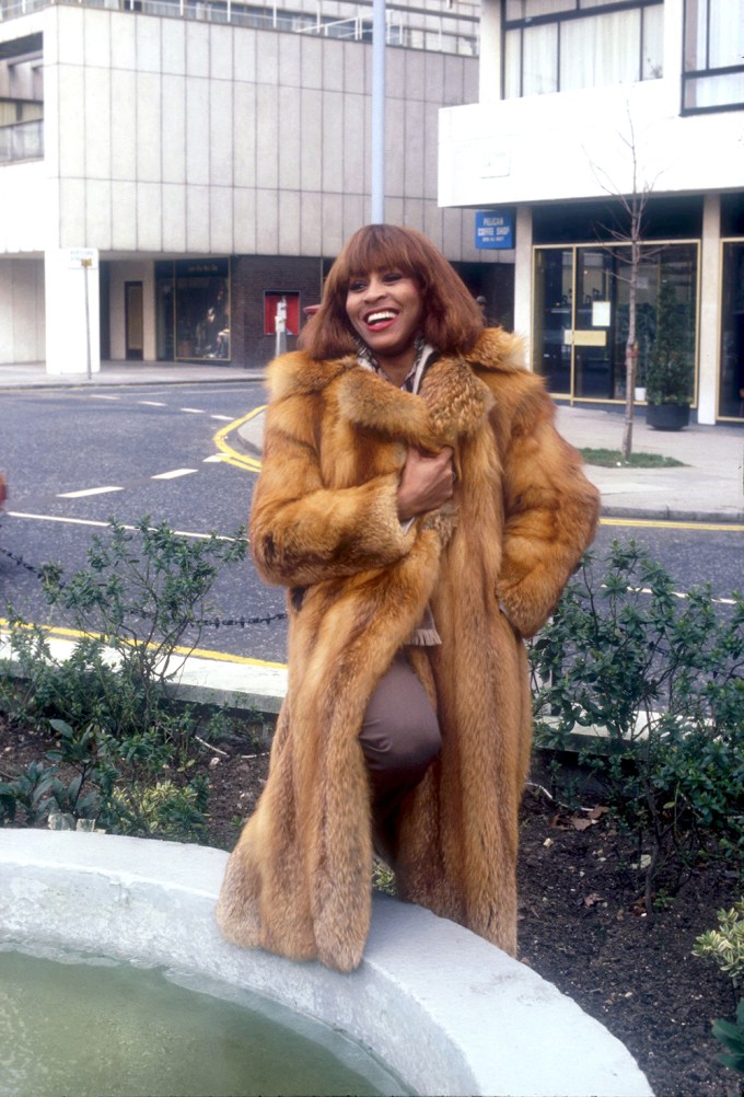 Tina Turner in 1978