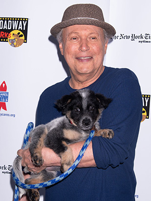 Billy Crystal: Photos Of The Comedy Legend – Hollywood Life