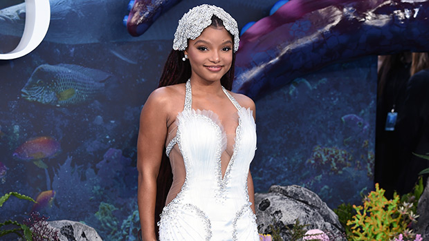 Read more about the article Halle Bailey’s ‘The Little Mermaid’ London Premiere Dress: Photos – Hollywood Life