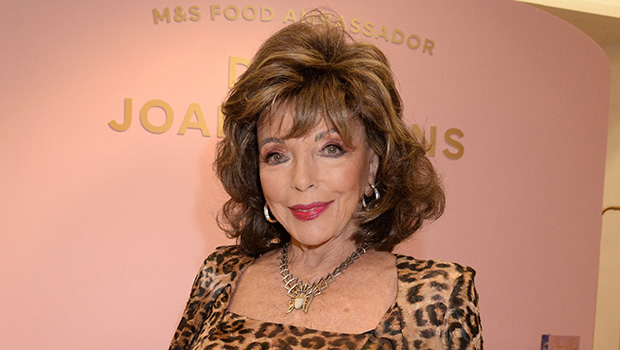 Stunning Fashion Styles of Joan Collins in the 1980s Through