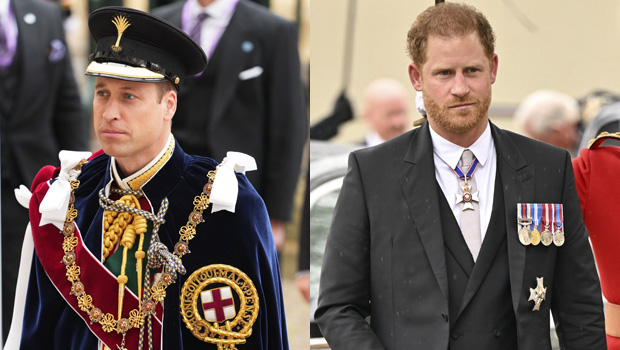 Prince William & Prince Harry Have No Interaction At Dad’s Coronation Amid Ongoing Rift