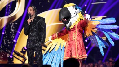 The Masked Singer