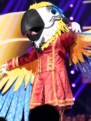 The Masked Singer 2023: Who Is Macaw?