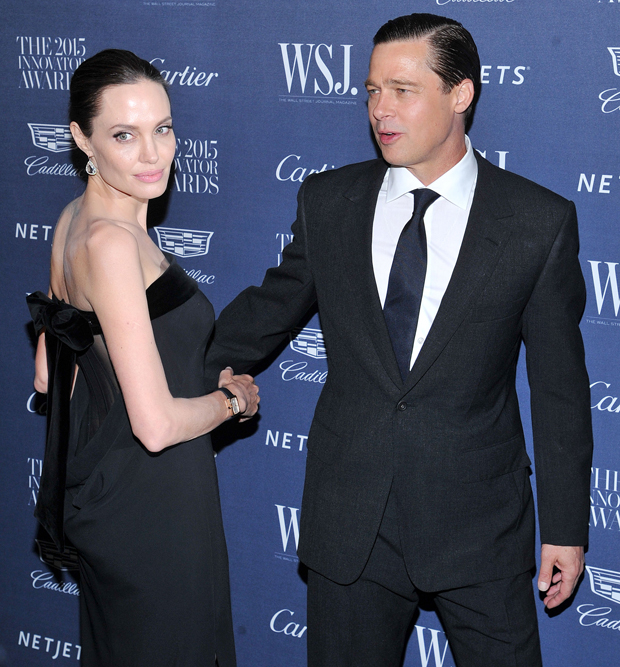 Brad Pitt, Angelina Jolie'nin Şaraphane Hissesini Satışına "Zarar Verici" Dedi - Hollywood Life