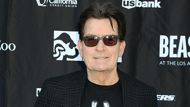 Charlie Sheen's Health: His HIV Diagnosis and What He's Said About His Treatment So Far