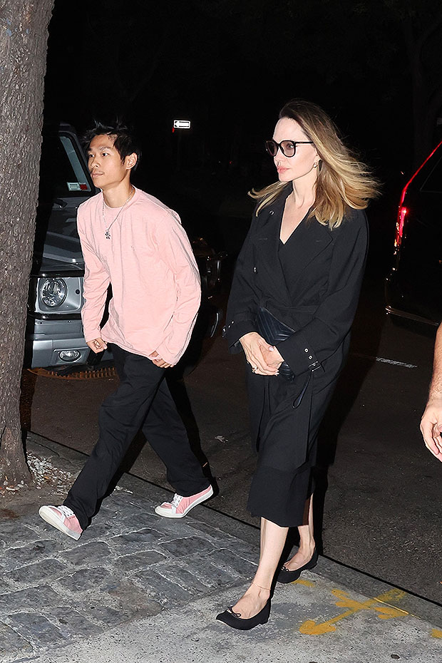 Angelina and pax in NYC