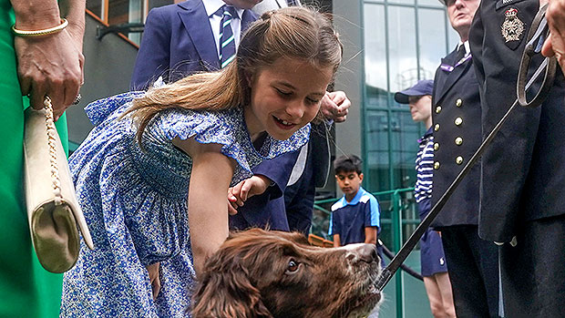 Wimbledon 2023: Carlos Alcaraz photo exposes Royals box, Princess  Catherine, Prince George and Princess Charlotte