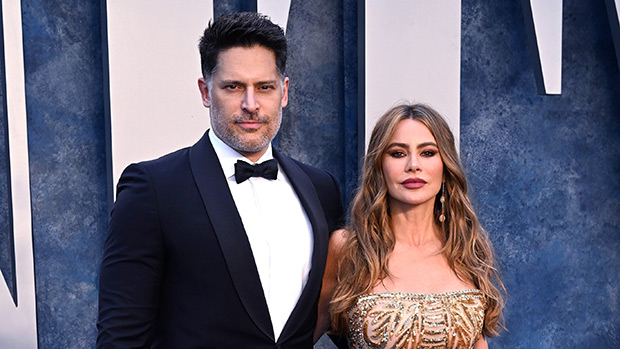What is the revealed reason behind the split of Sofia Vergara and
