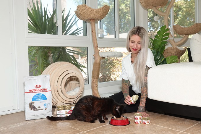 Hannah Shaw Partner With ROYAL CANIN For Take Your Cat To The Vet Day