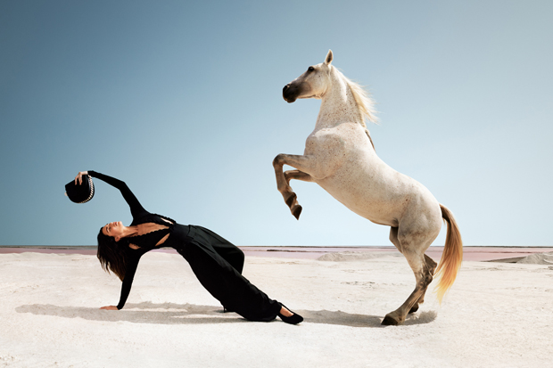 Beryl TV kendall-jenner-stella-mccartney-embed2 Kendall Jenner Naked On A Horse For Stella McCartney Campaign: Photos – Hollywood Life Entertainment 