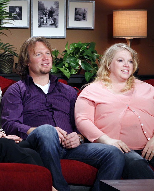 Sister Wives' Janelle Brown's Family Photos With Her, Kody's Kids