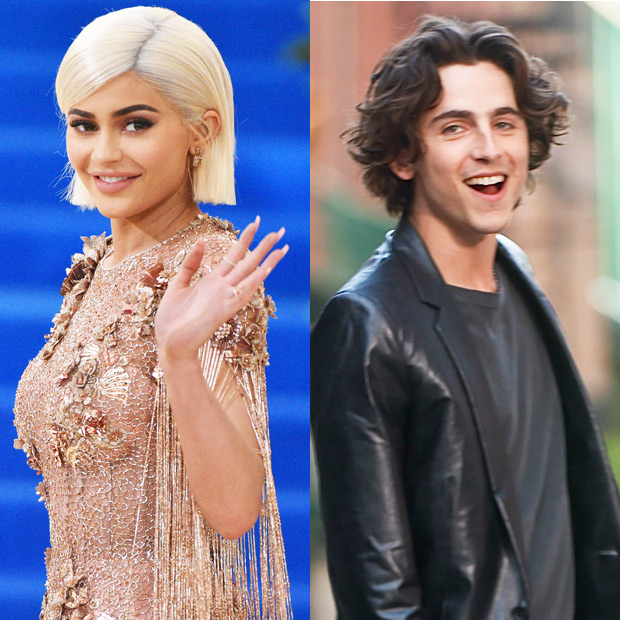 Timothee Chalamet and Kylie Jenner