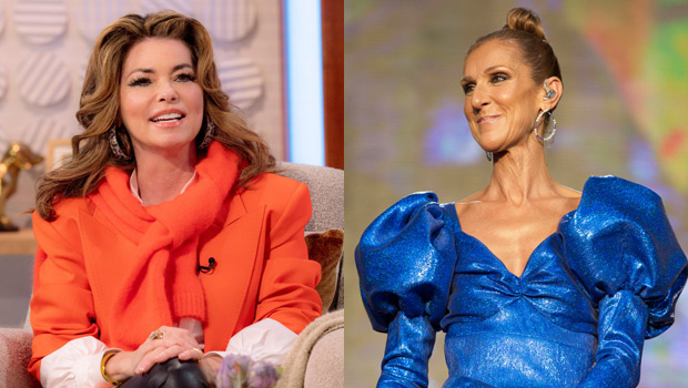 Shania Twain Helps Céline Dion Amidst Well being Battle With SPS – League1News