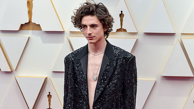 Timothée Chalamet Posts Shirtless Thirst Trap On Vacay As Kylie Jenner Romances Rumors Strengthen