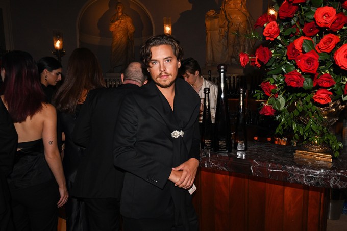 Cole Sprouse, Alexa Chung and More at Vogue World