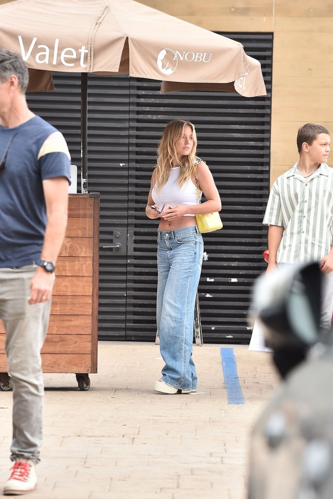 Sydney Sweeney, Lucy Hale, Justin Bieber and More Spotted Wearing Madewell