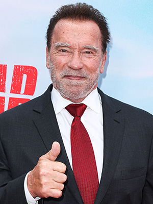 True Lies' costars Jamie Lee Curtis, Arnold Schwarzenegger reunite with  selfie