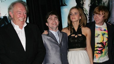 Michael Gambon Daniel Radcliffe Emmat Watson Rupert Grint
