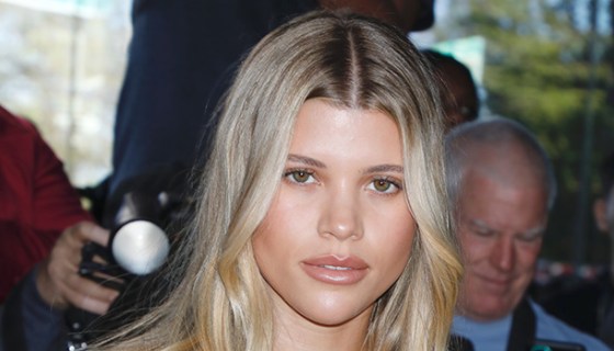 sofia richie bronzer