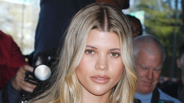 sofia richie bronzer