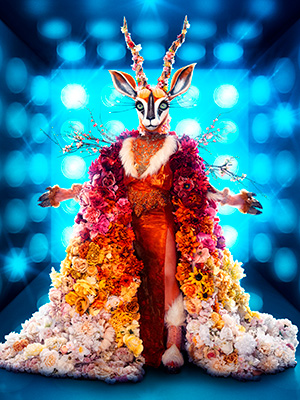 The Masked Singer