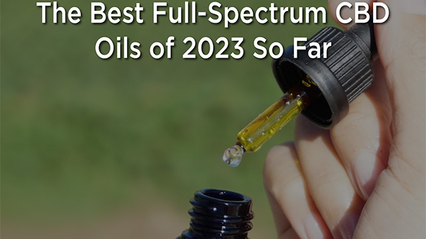 best cbd oils