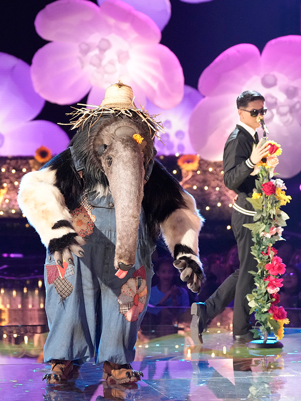 ‘The Masked Singer’ Preview A New Anteater Clue Is Revealed