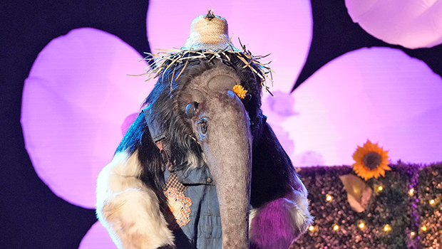 ‘the Masked Singer’ Preview A New Anteater Clue Is Revealed Hollywood Life