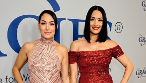 brie bella, nikki bella