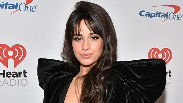 Camila Cabello Rocks Sheer Black Tights & Cropped Sweater in Sexy New Photos