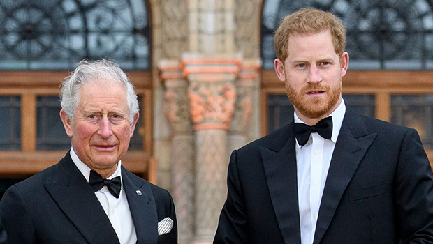 Prince Harry mocks his father, King Charles III, at aviation event amid rumor of family rift