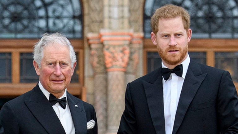 Prince Harry Pokes Fun at King Charles During Aviation Event: Watch ...
