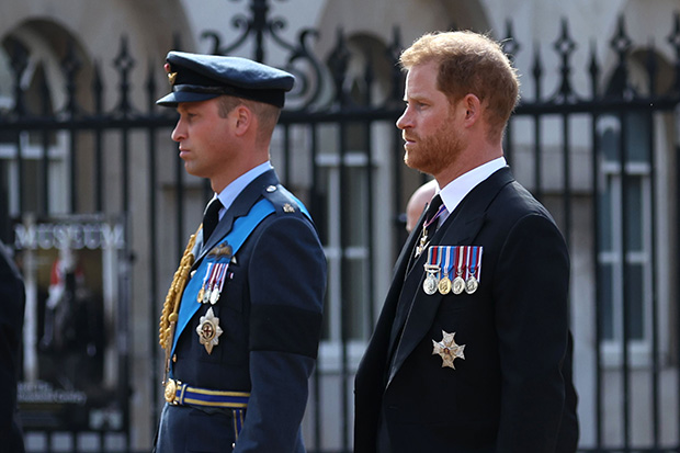 Prince Harry Upset Prince William Ignored Him During Elizabeth’s Death ...